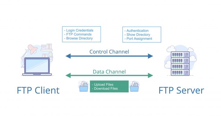 FTP (File Transfer Protocol )