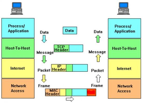 [Phần 2]Mô hình OSI và TCP/IP - Series tự học CCNA [A-Z]