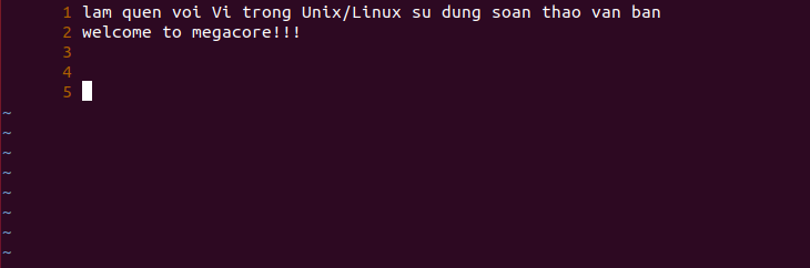 Ứng dụng Vi trong Linux - Sử dụng Vi với file text đơn giản